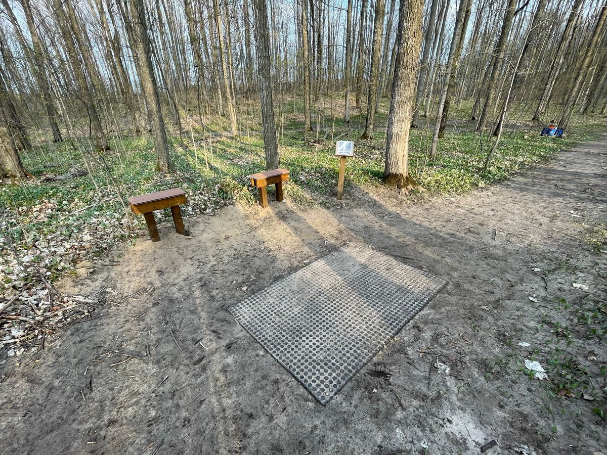 #15 Tee Pad and Benches