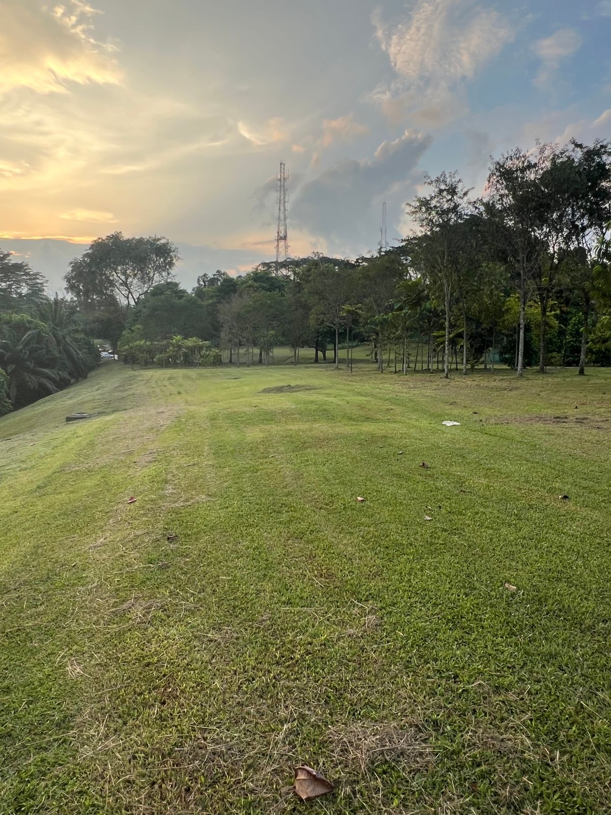 Hole 13 fairway looking at the green with the telecom tower directly behind it.