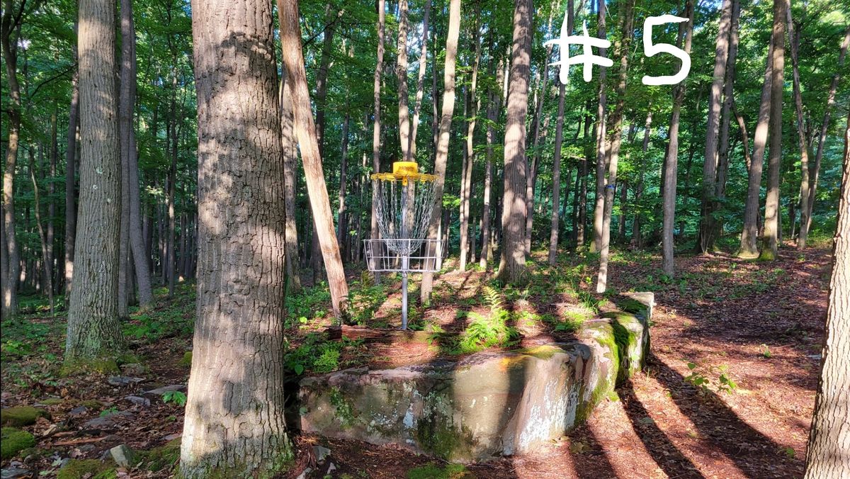 Hole 5 back side green.