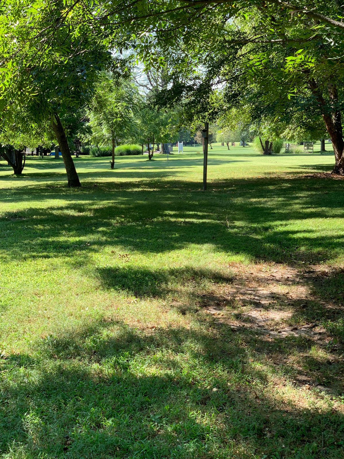 Hole 15