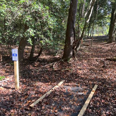 Hole 9 tee