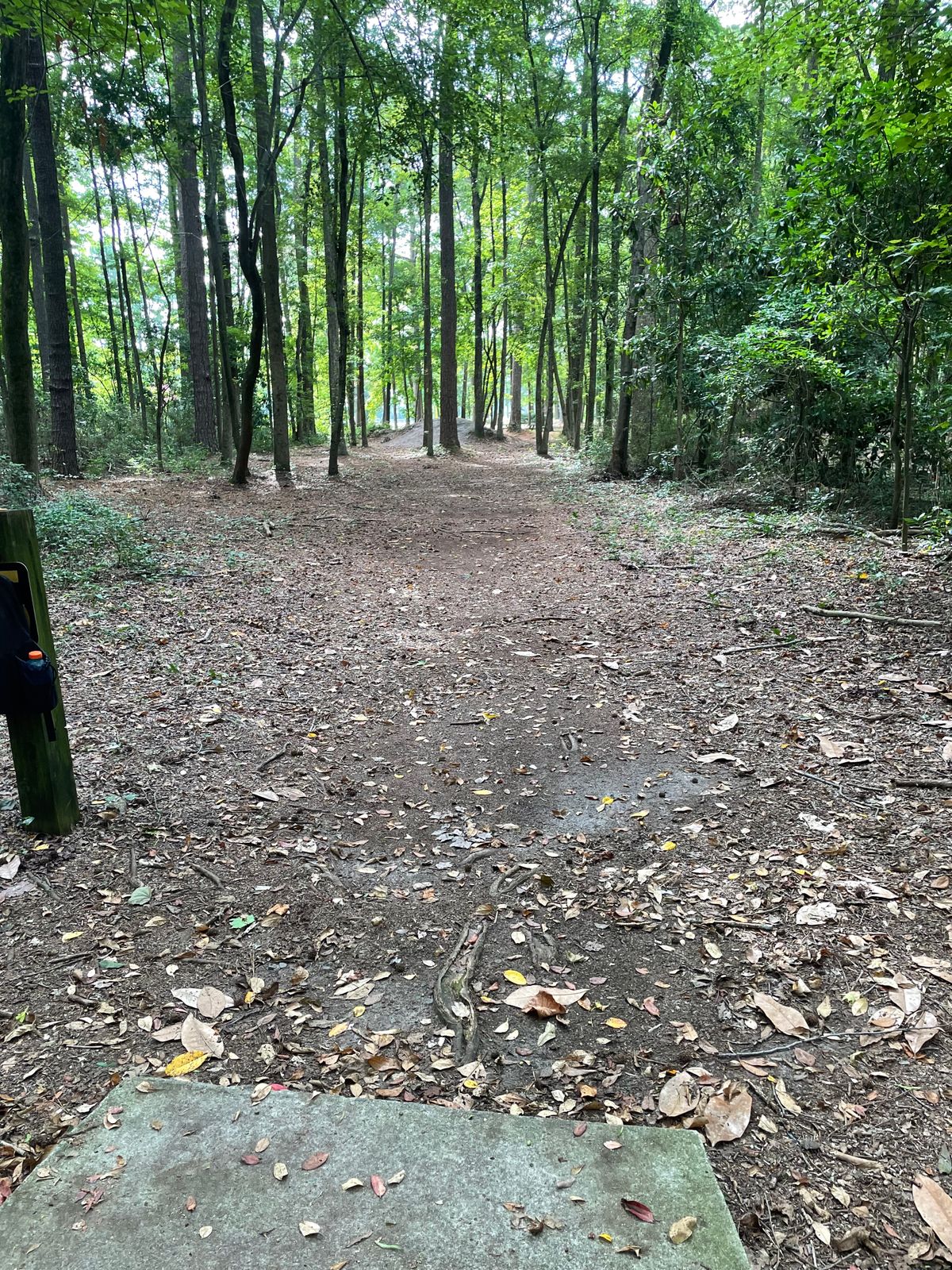 Hole #5 From The Tee Pad