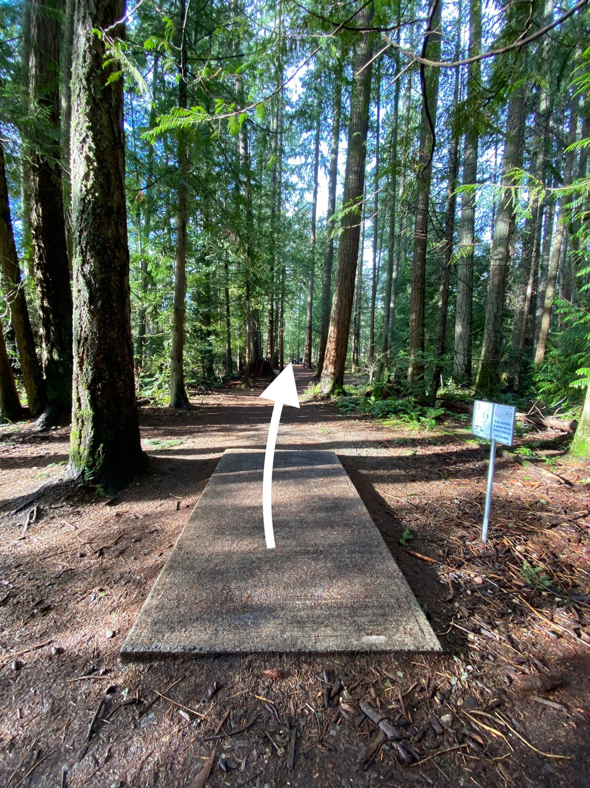 Hole 3