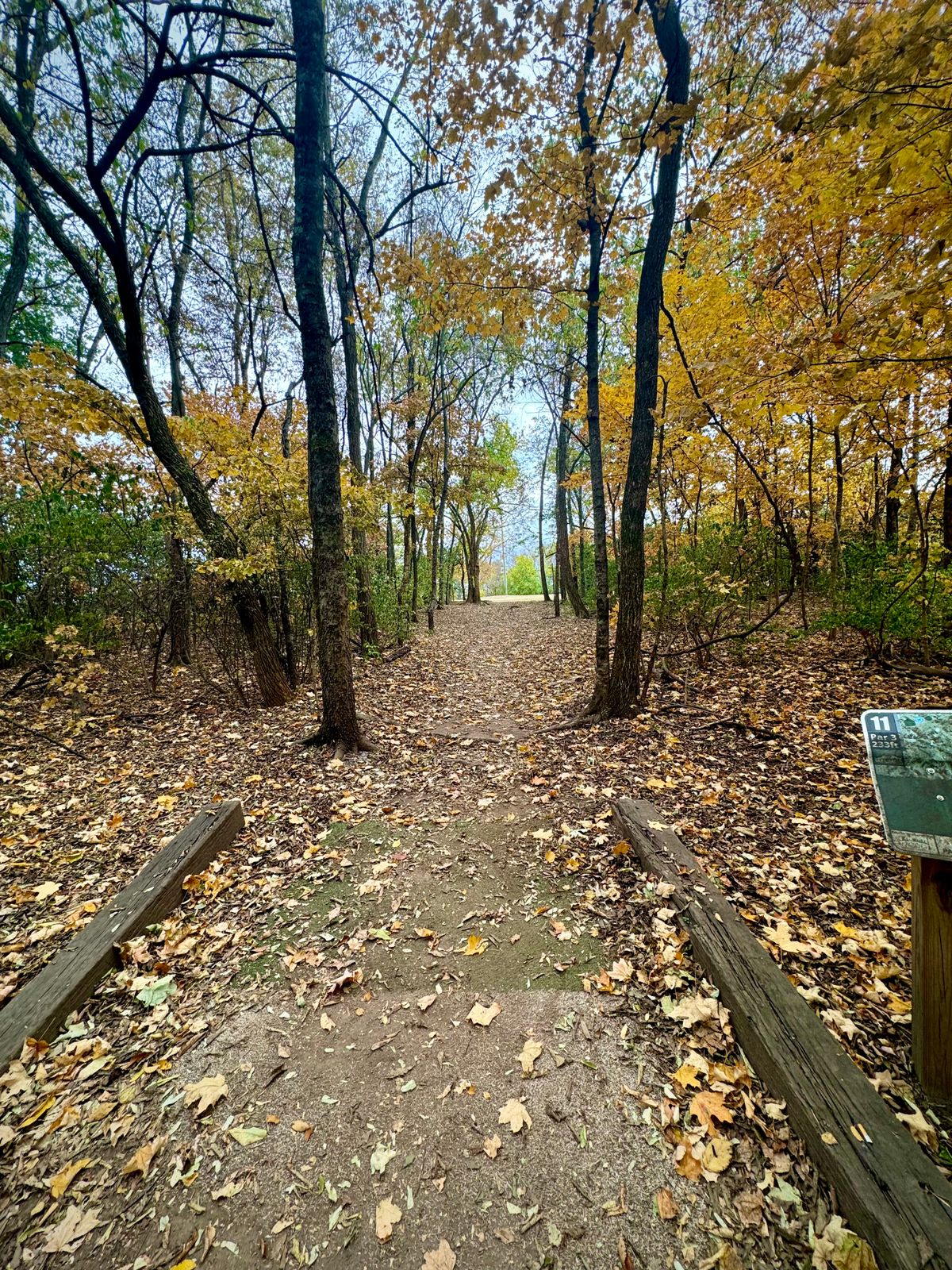 Hole 11