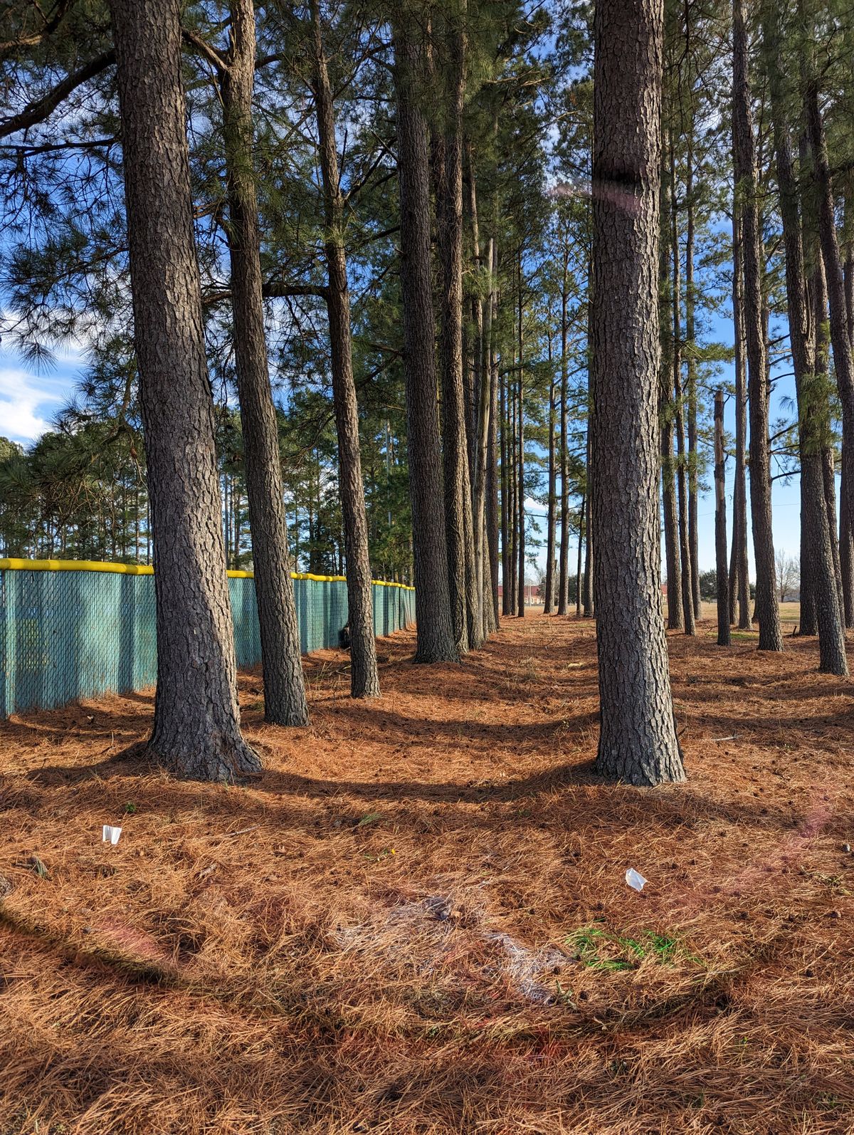 Hole 5