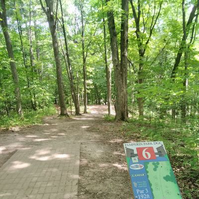Hole #6 in the woods