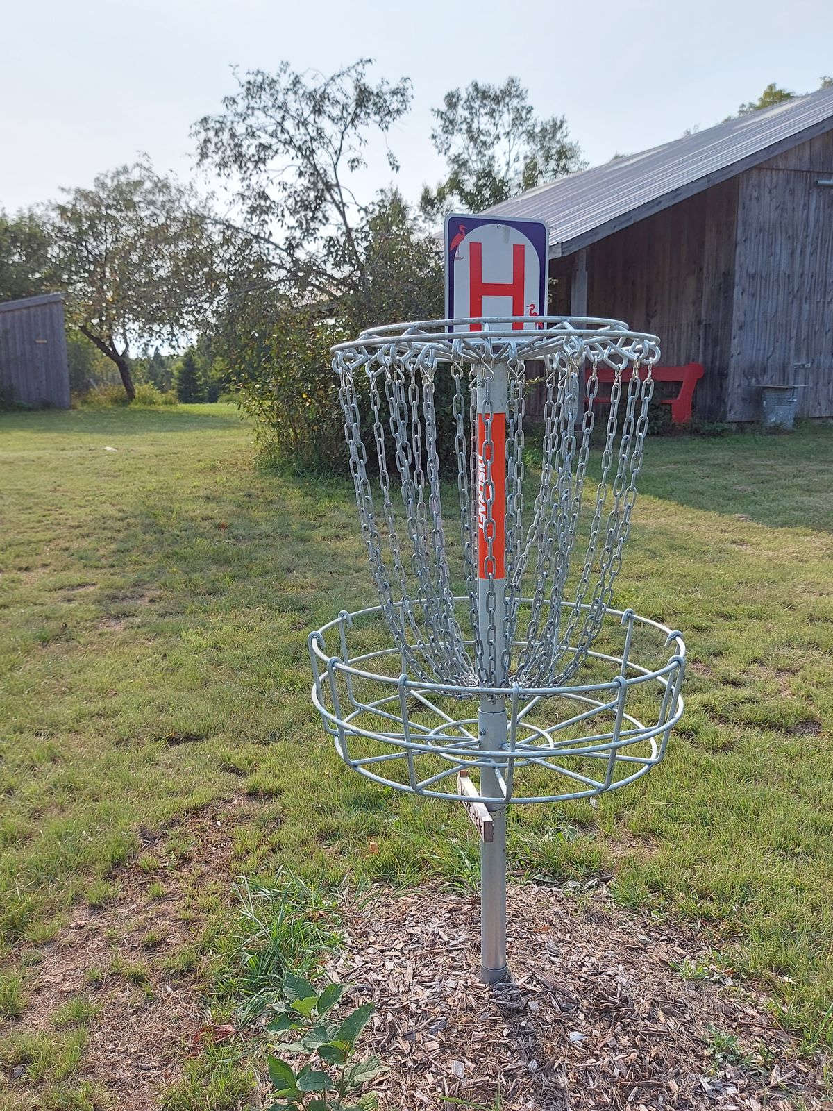Putting on hole 8.🌿🌳👍🍁