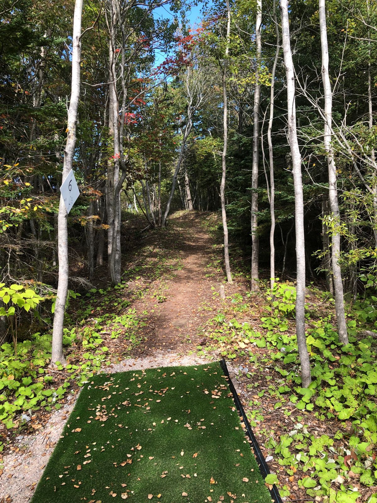 Tee pad hole 6