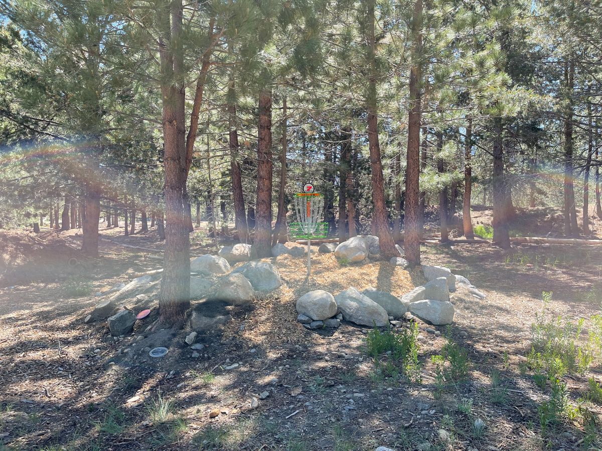 Hole 7, pin position B