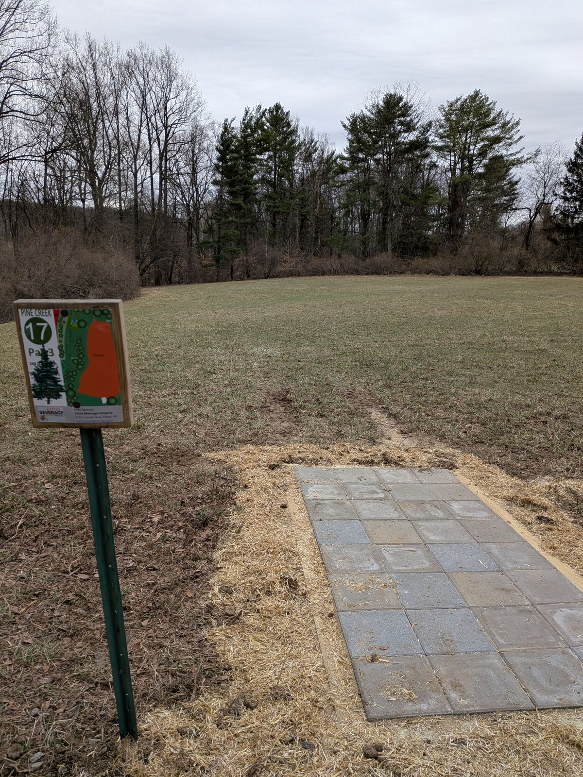 17 tee. Basket left past the brush just inside of the tree line