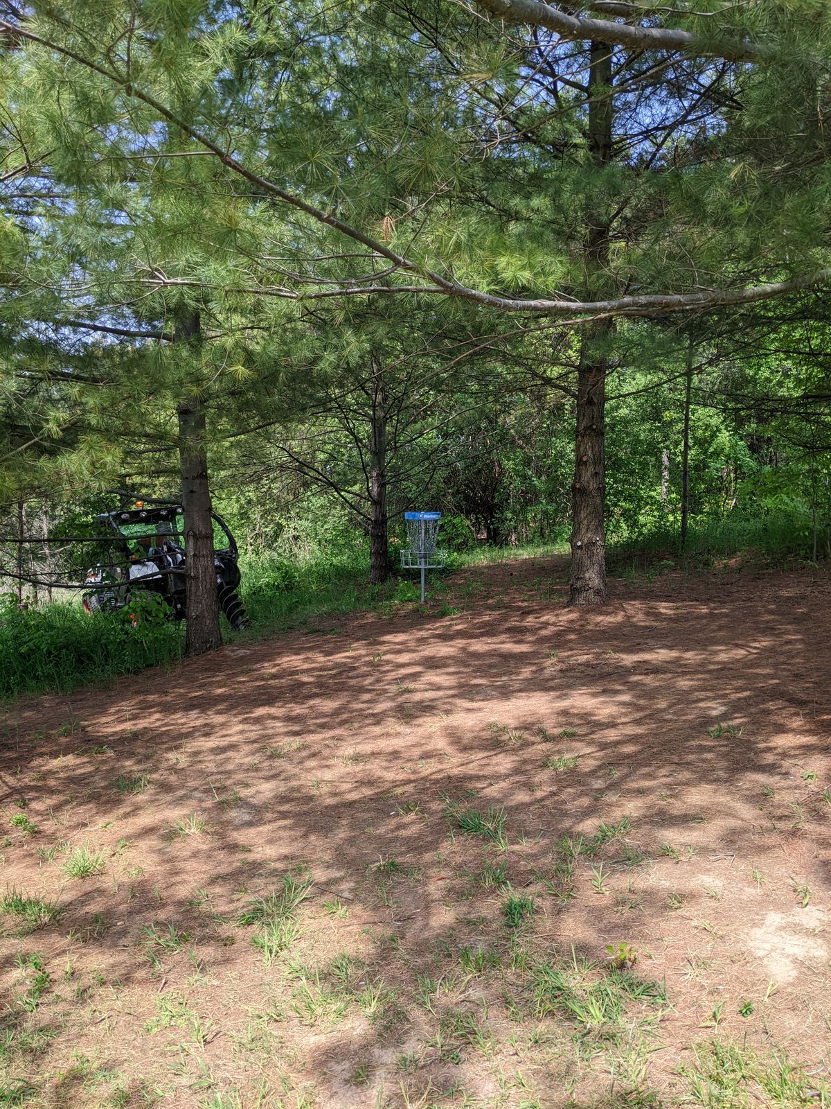 Hole 6 green