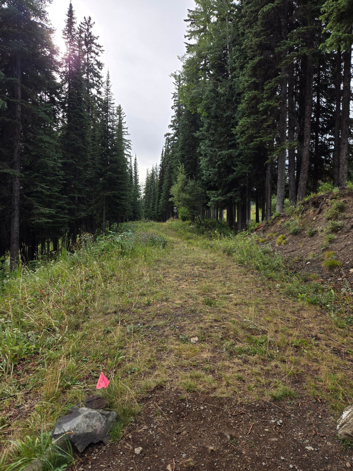 Hole 9 tee pad