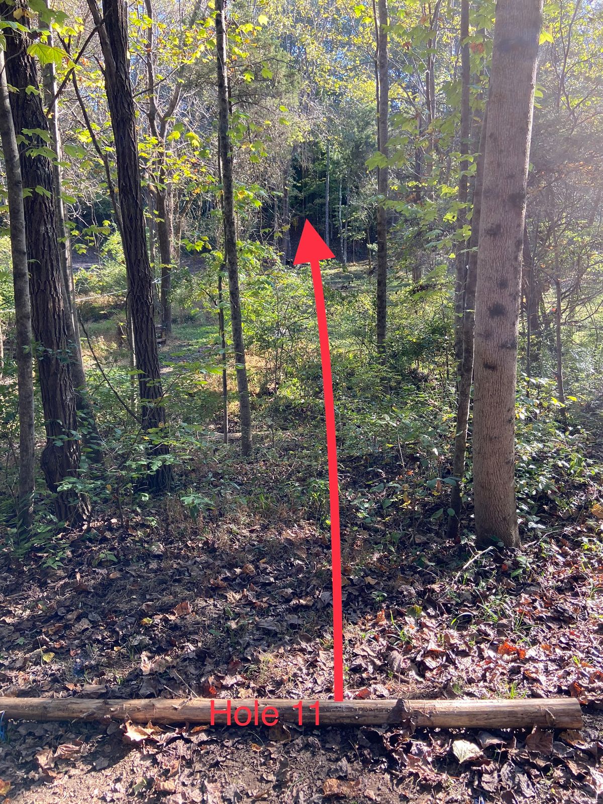 Hole 11 long