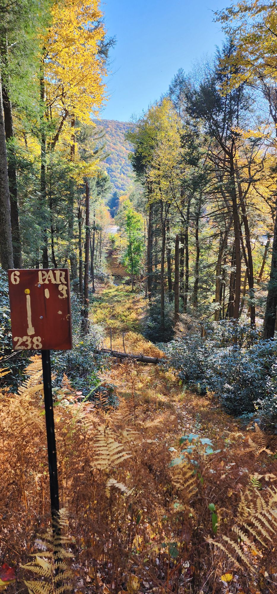 Hole 6 is a huge down hill shot that looks amazing. Basket is in a bucket though.