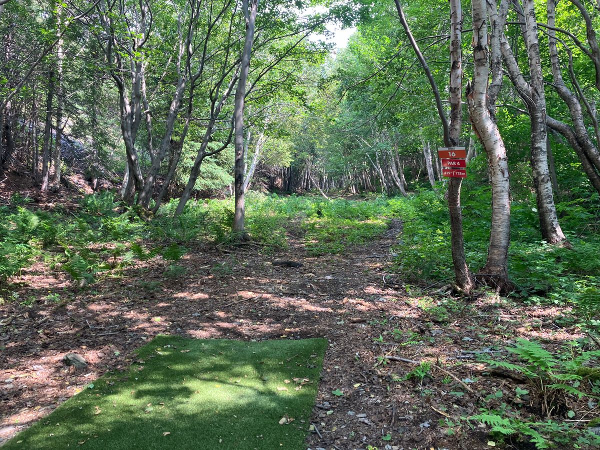 Came back after a year to play the course again and I love the par 4 addition!