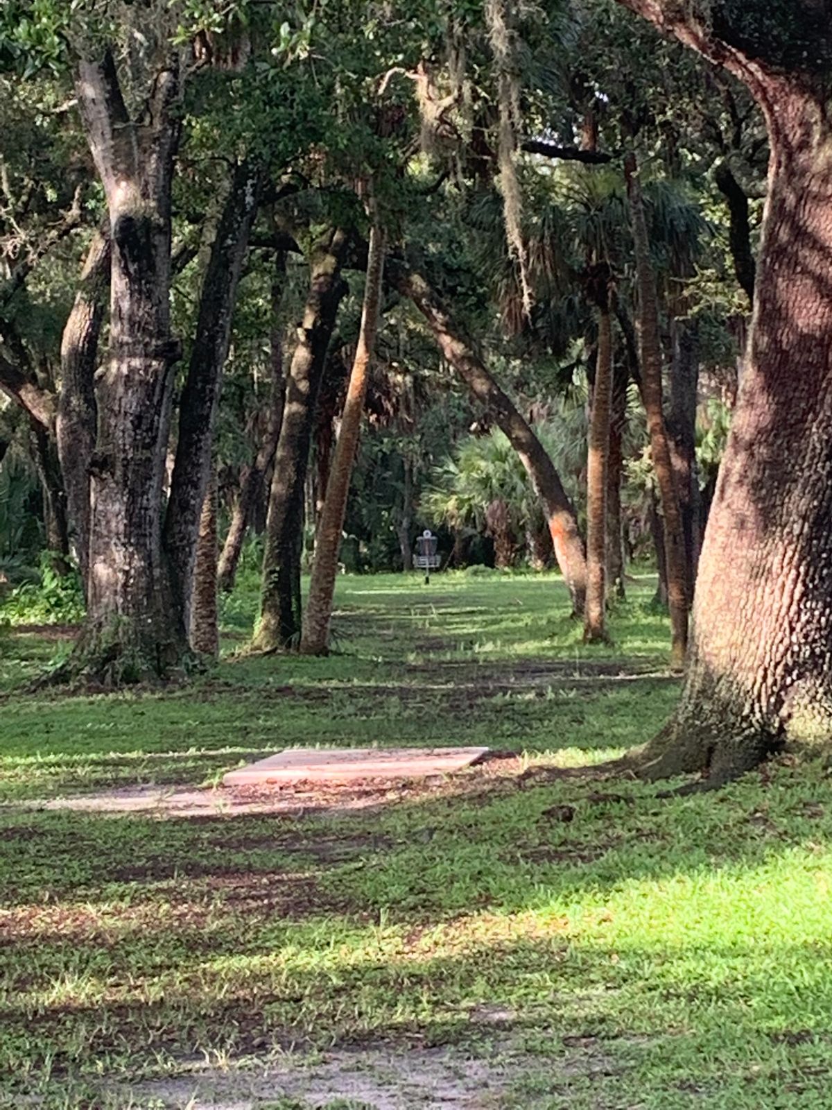 Hole 3