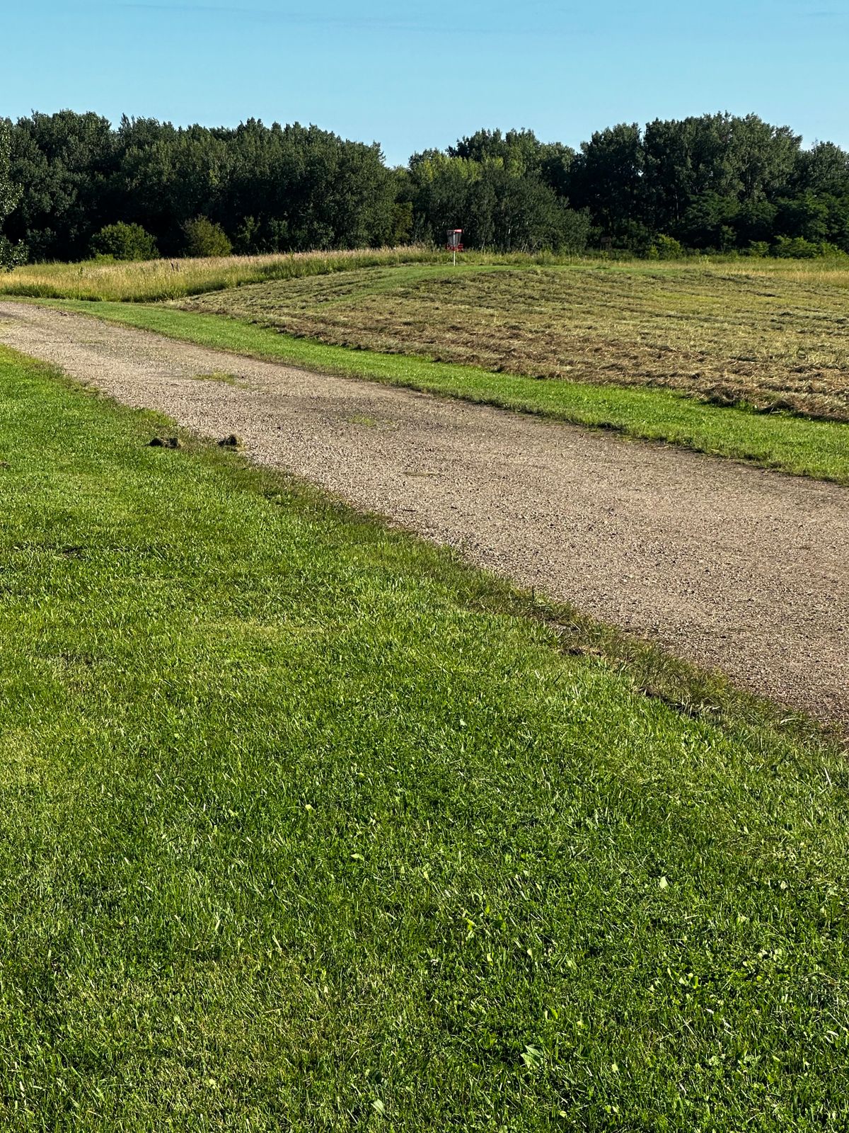 Hole 1 tee box. Pin raised located in rear center slightly left of platform