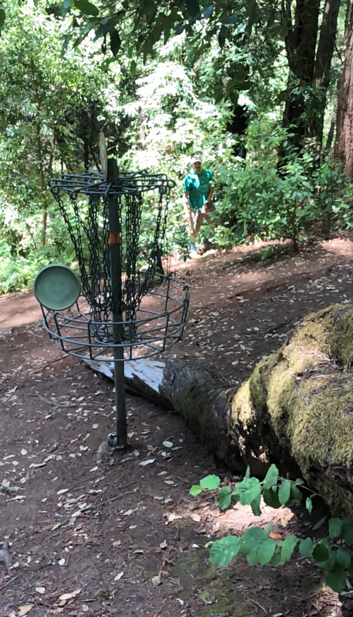 Hole 5