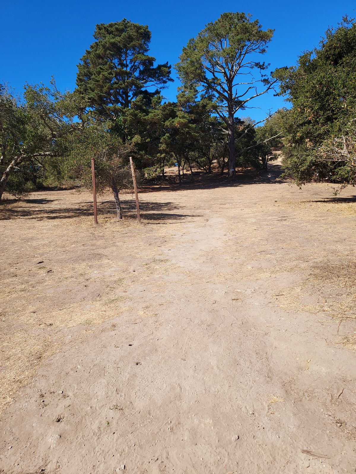 Hole 1 from the tee