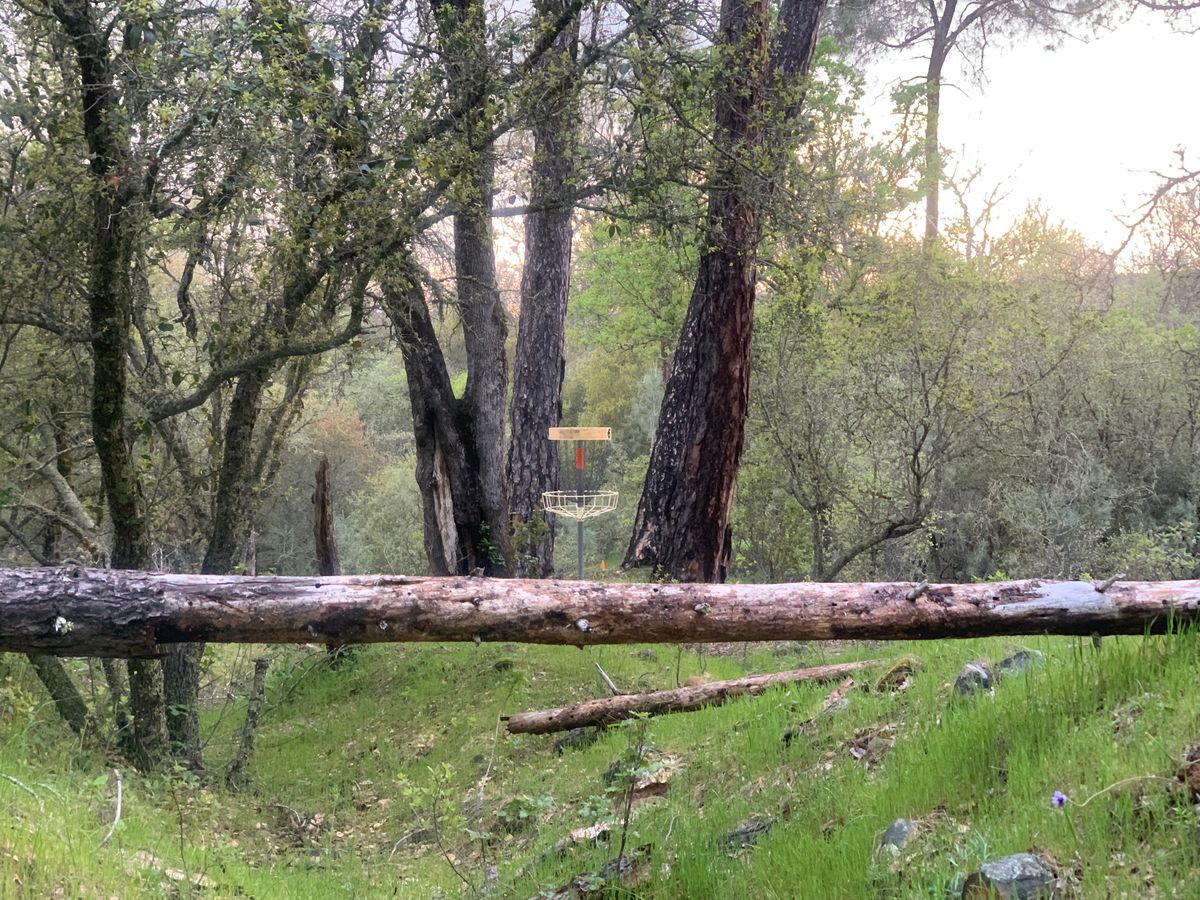 Hole 6.