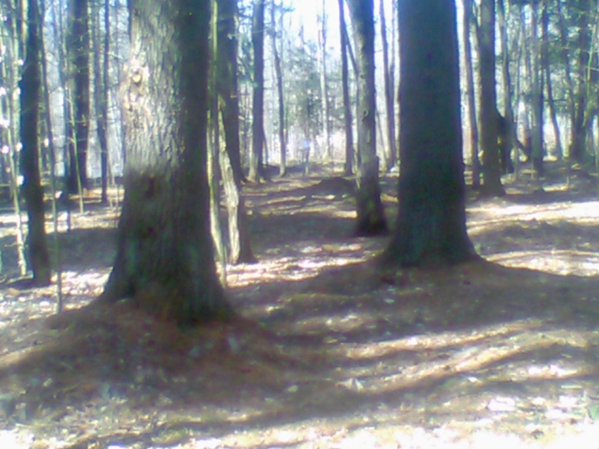 Hole 9