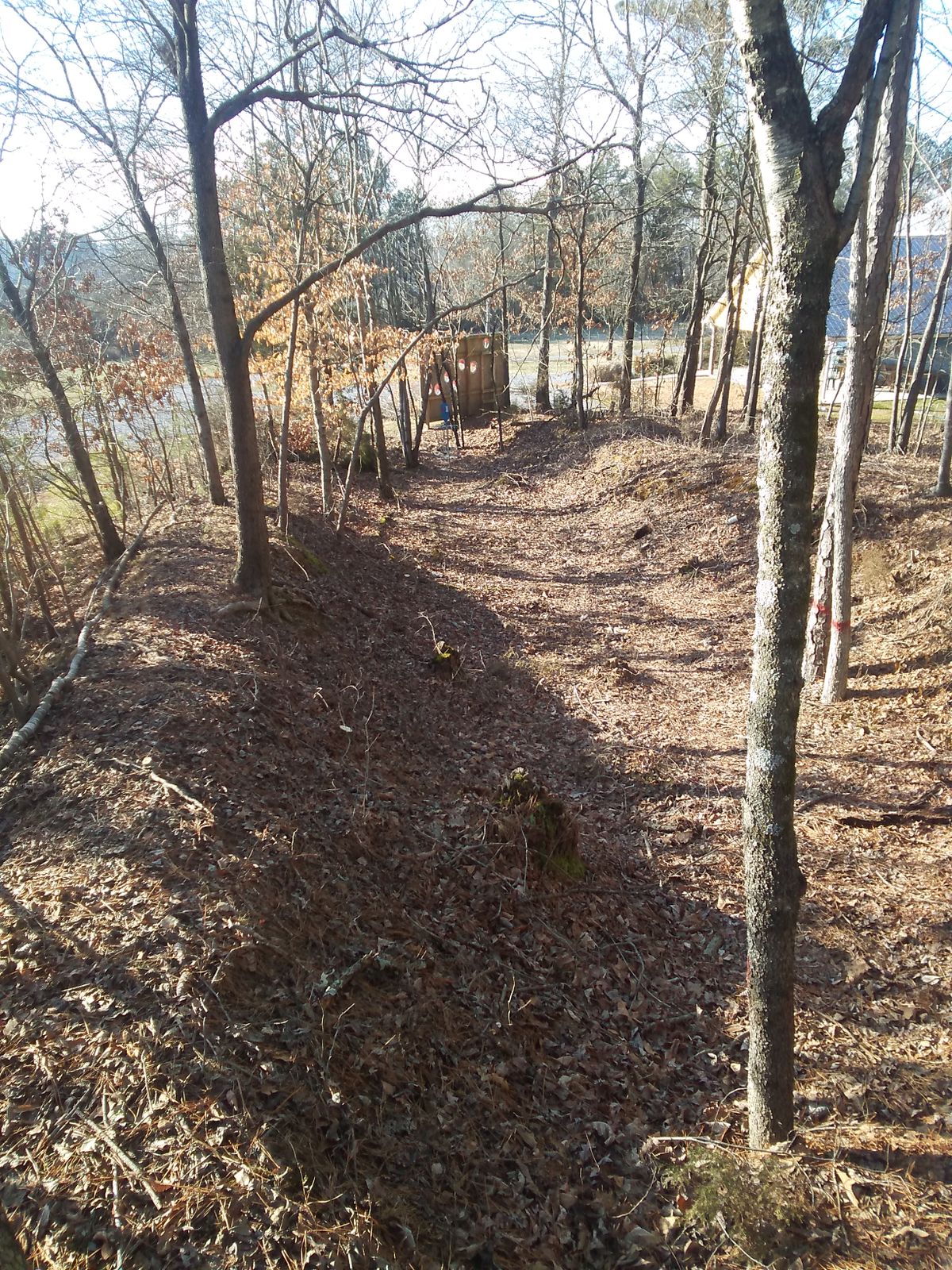 Hole 9 gorge looking at the basket