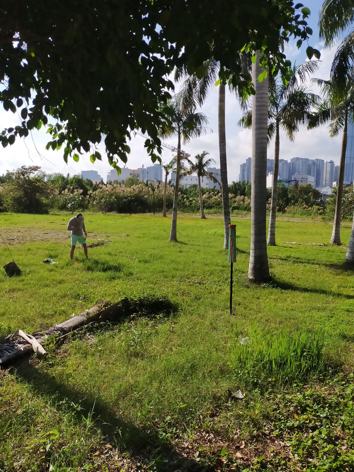Oasis of green in an urban jungle