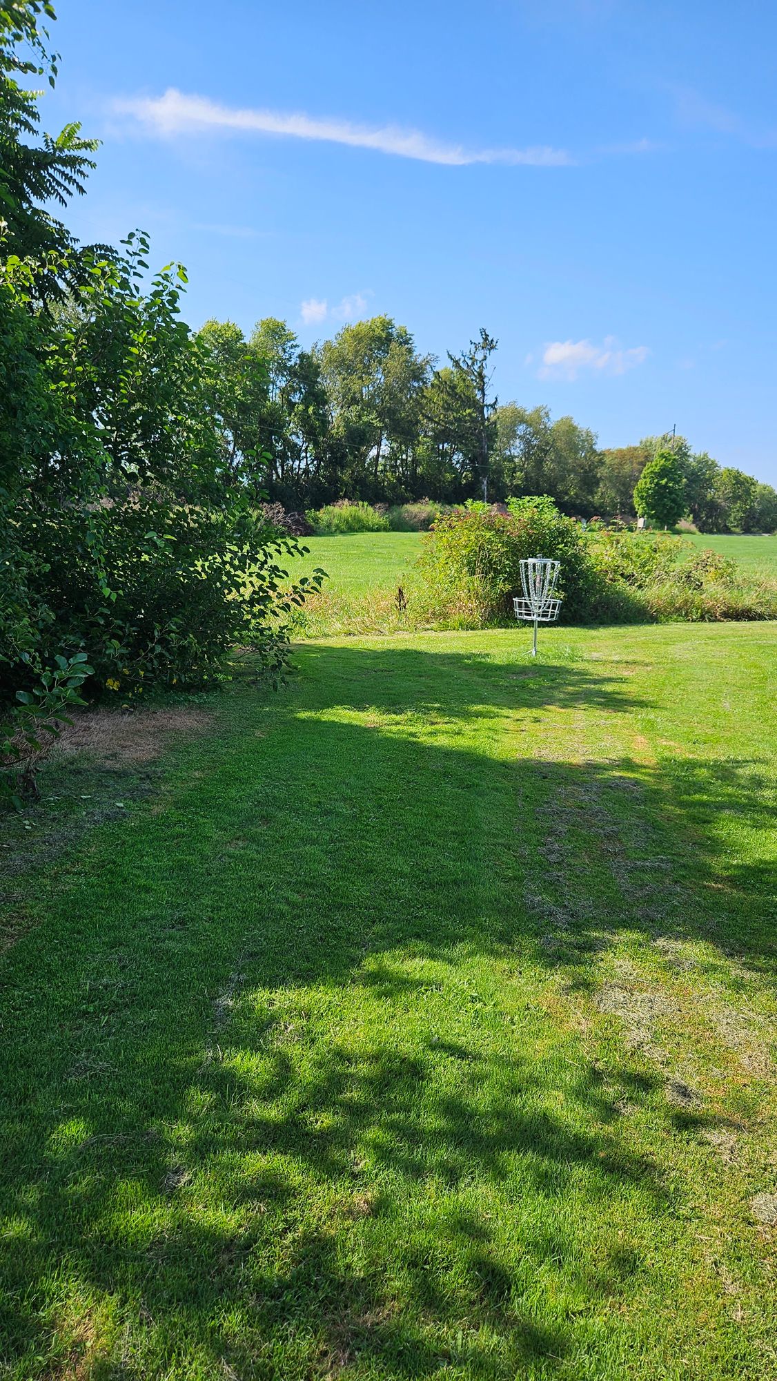 Hole 6 Basket
