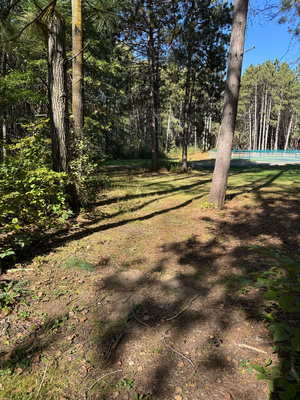 #5 middle fairway looking to basket
