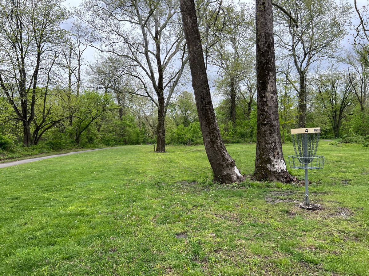 Basket 4 looking back towards the tee. This has a Mando left from the tee.