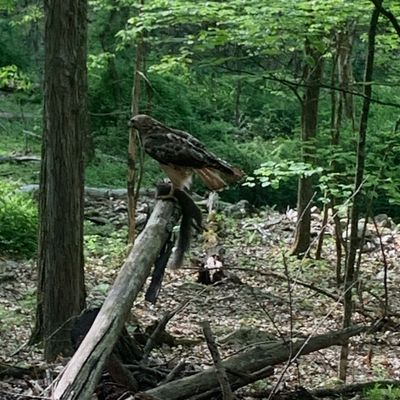 Hole 8 Tee