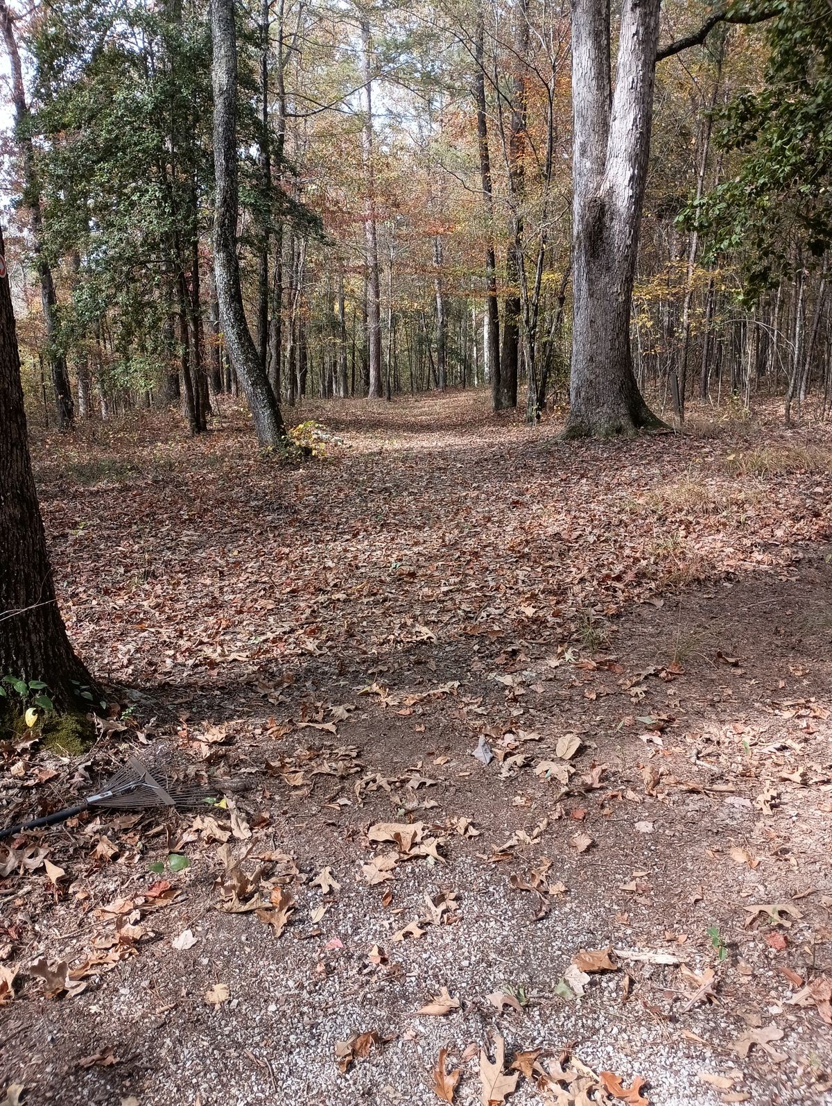 Hole 4