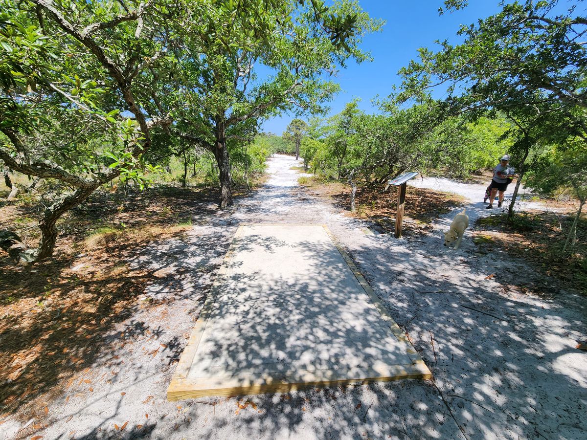 Hole 5 alternate tee