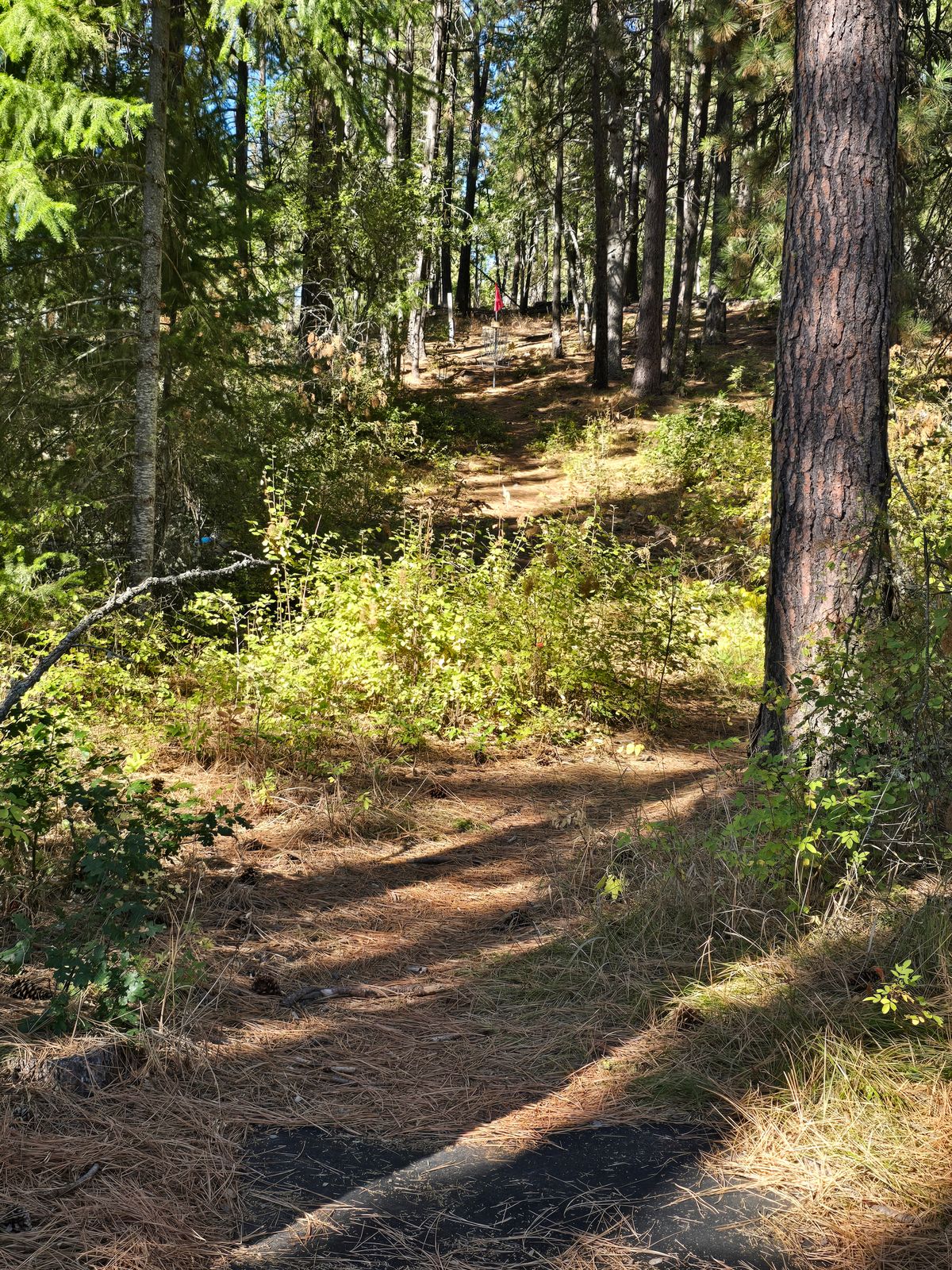 Hole 2