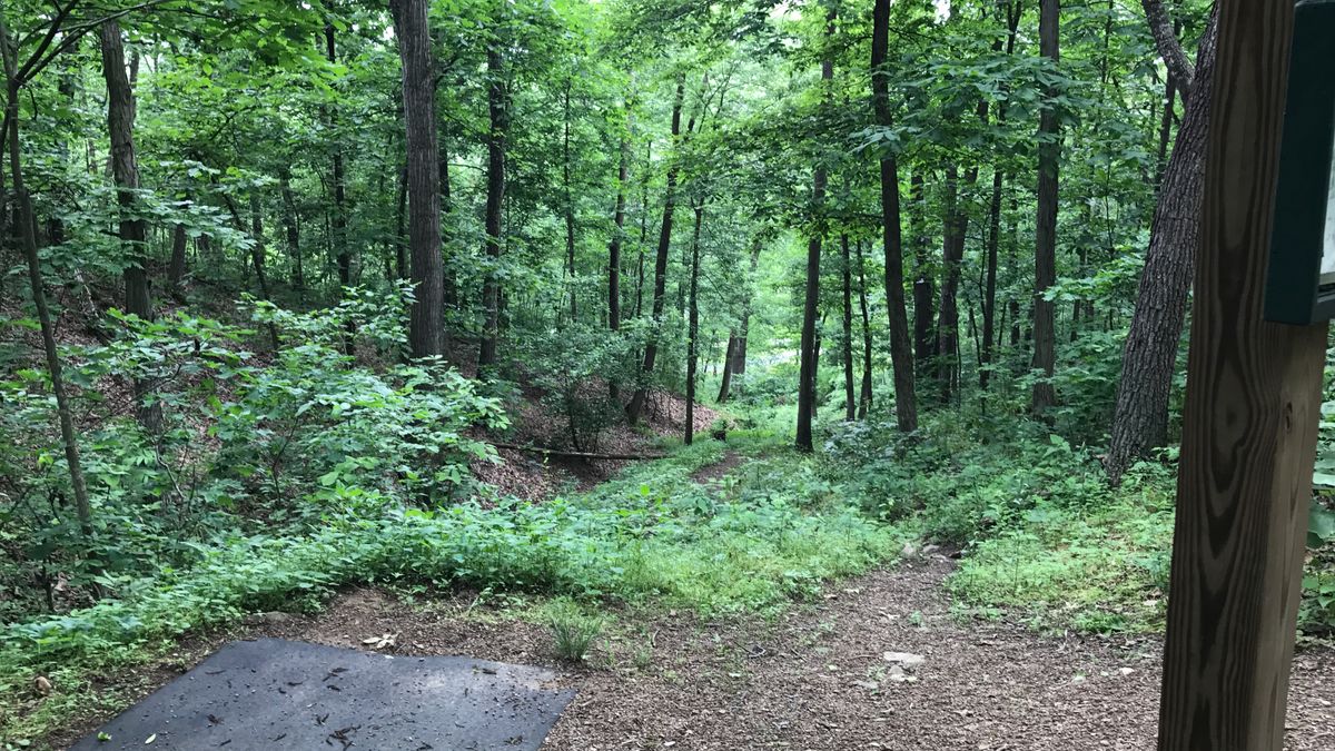 Hole 10
