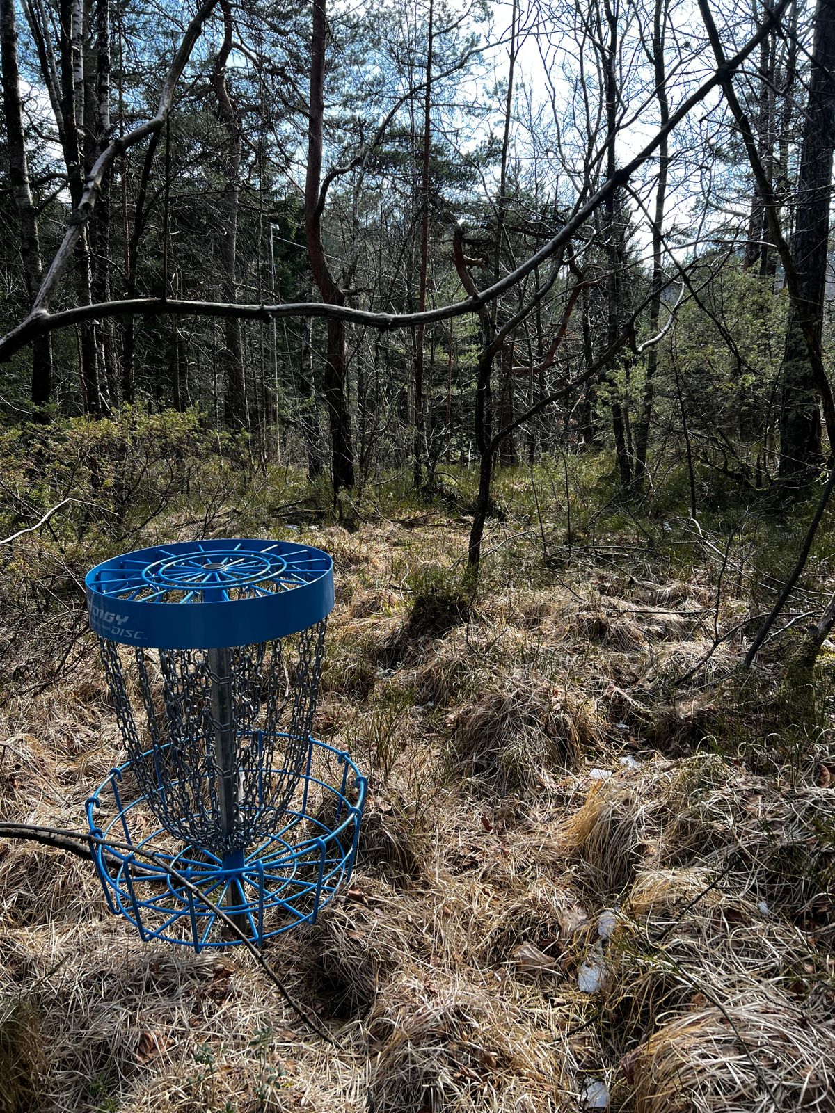 Kurv i utferdstrang fairway på hull 15