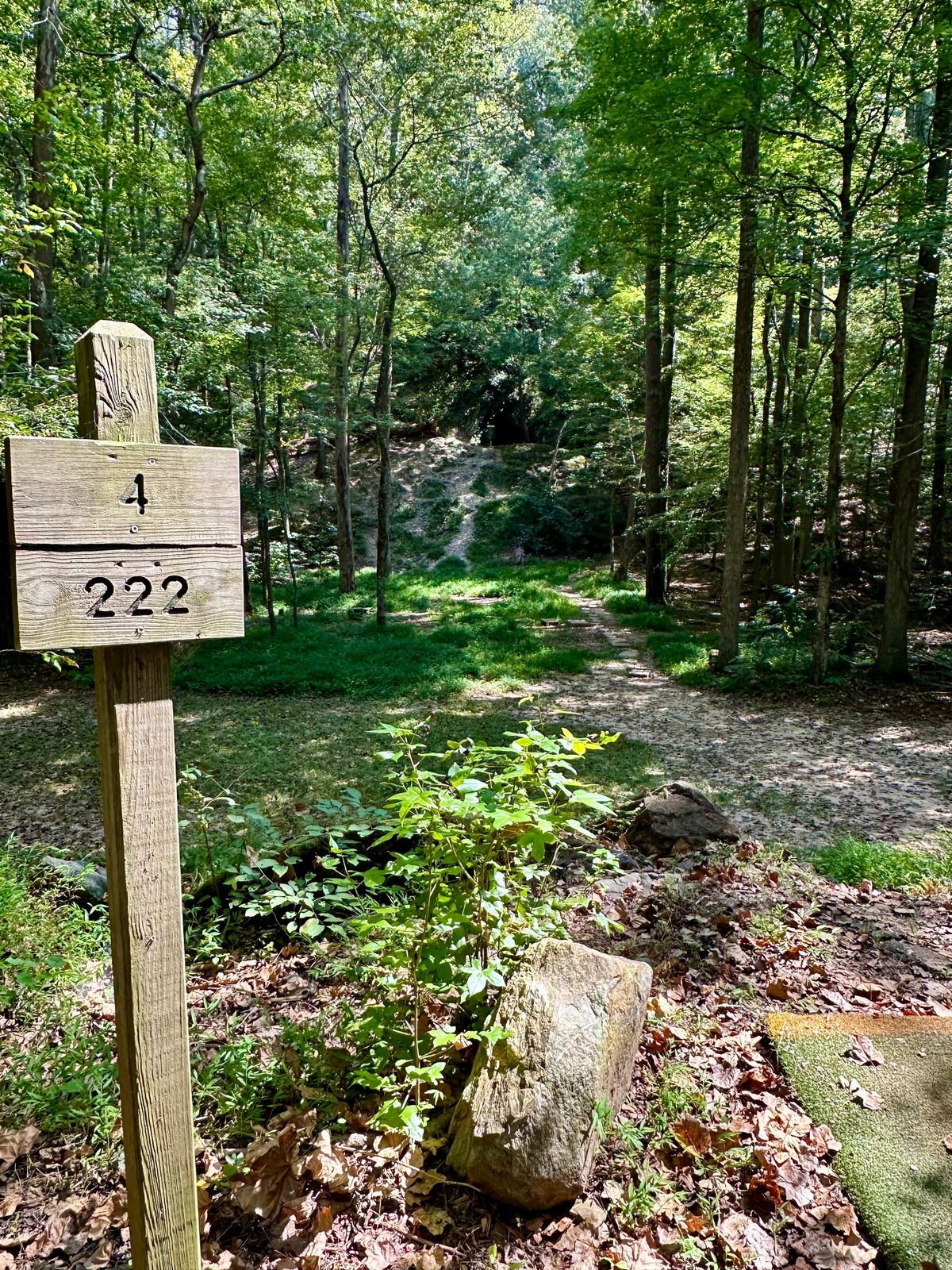 Hole 4