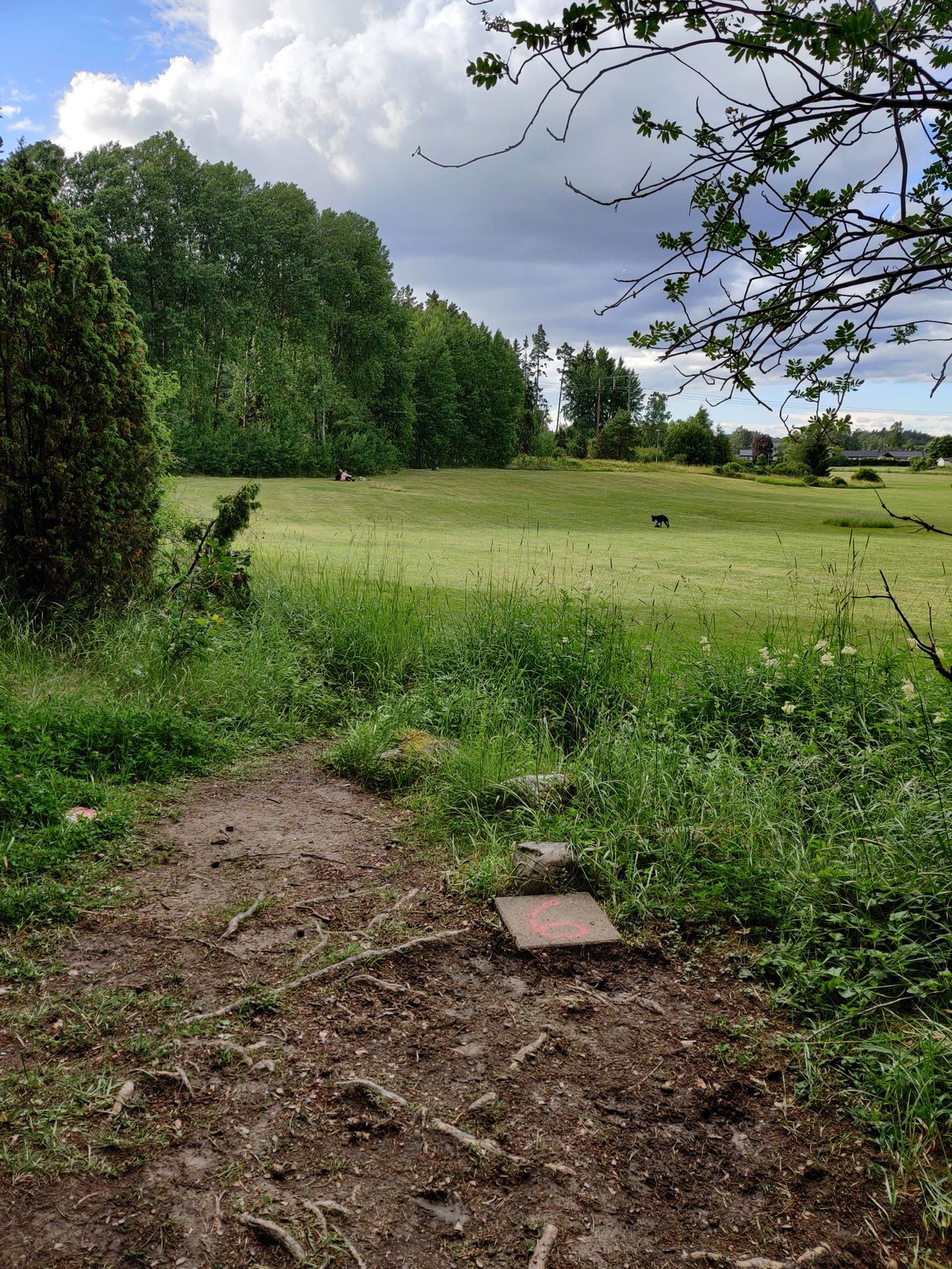 Hole 6