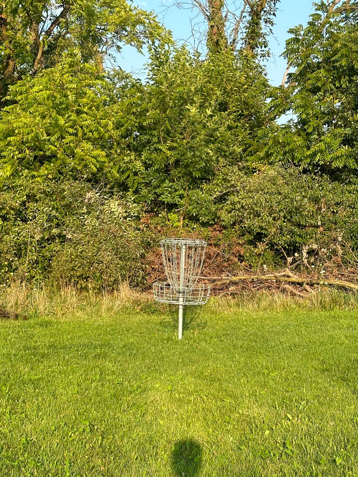 Hole 4