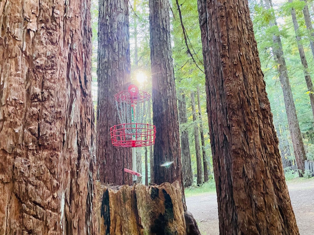 Majestic hole 4