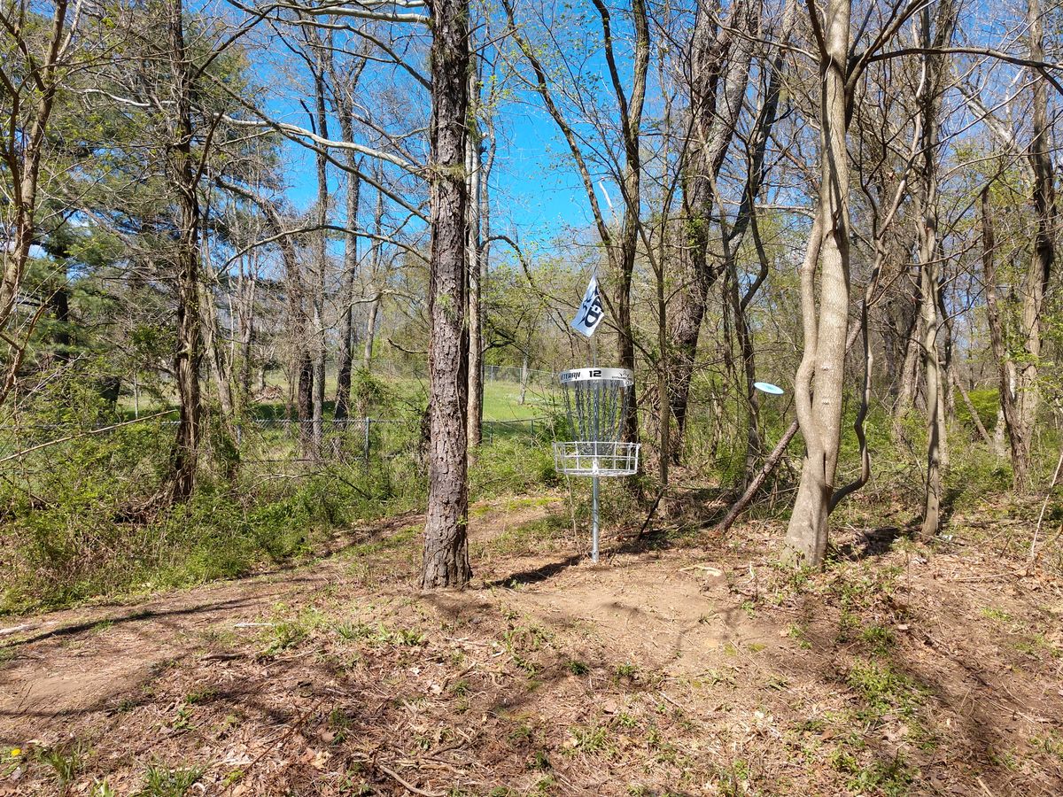 Hole 12 green