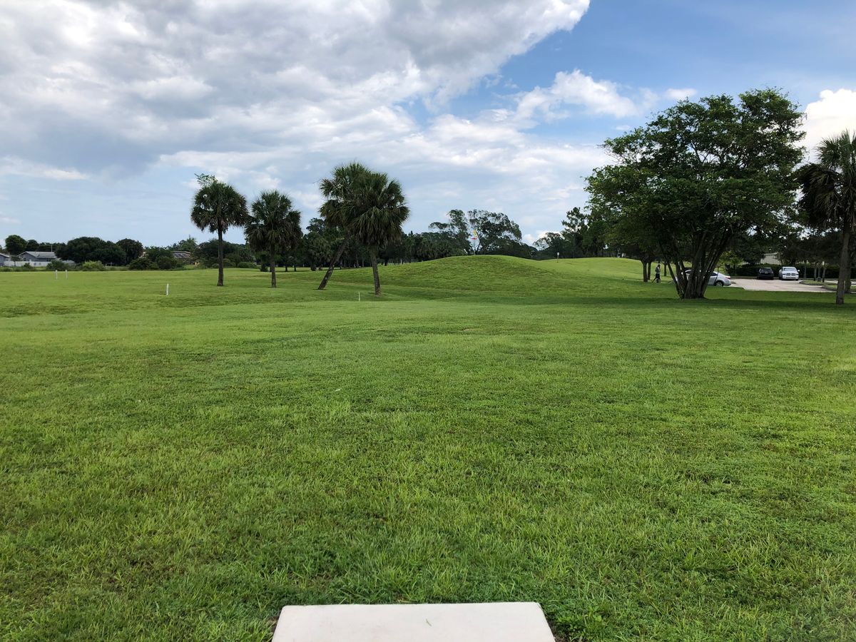 15 Tee