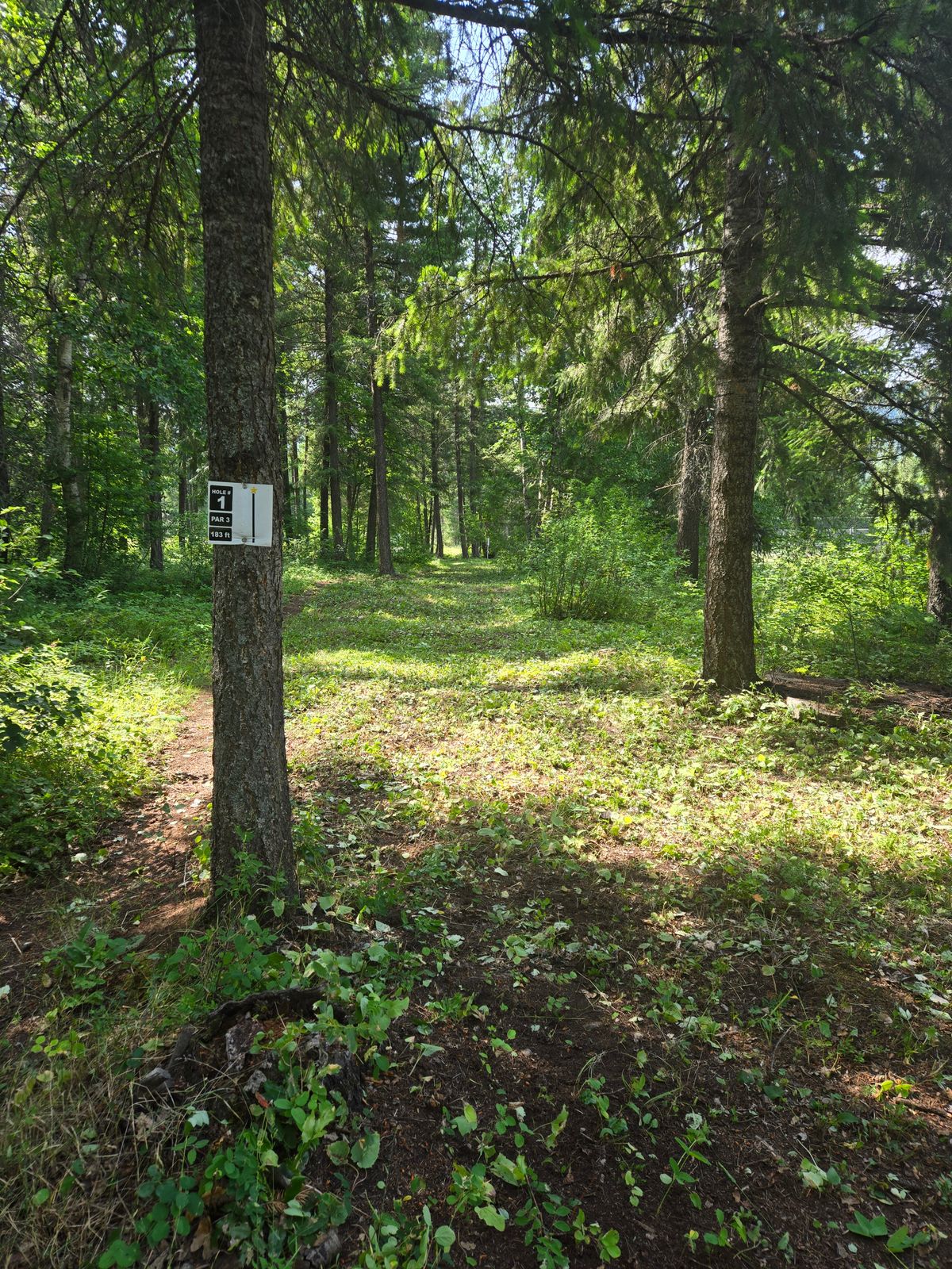Hole 1