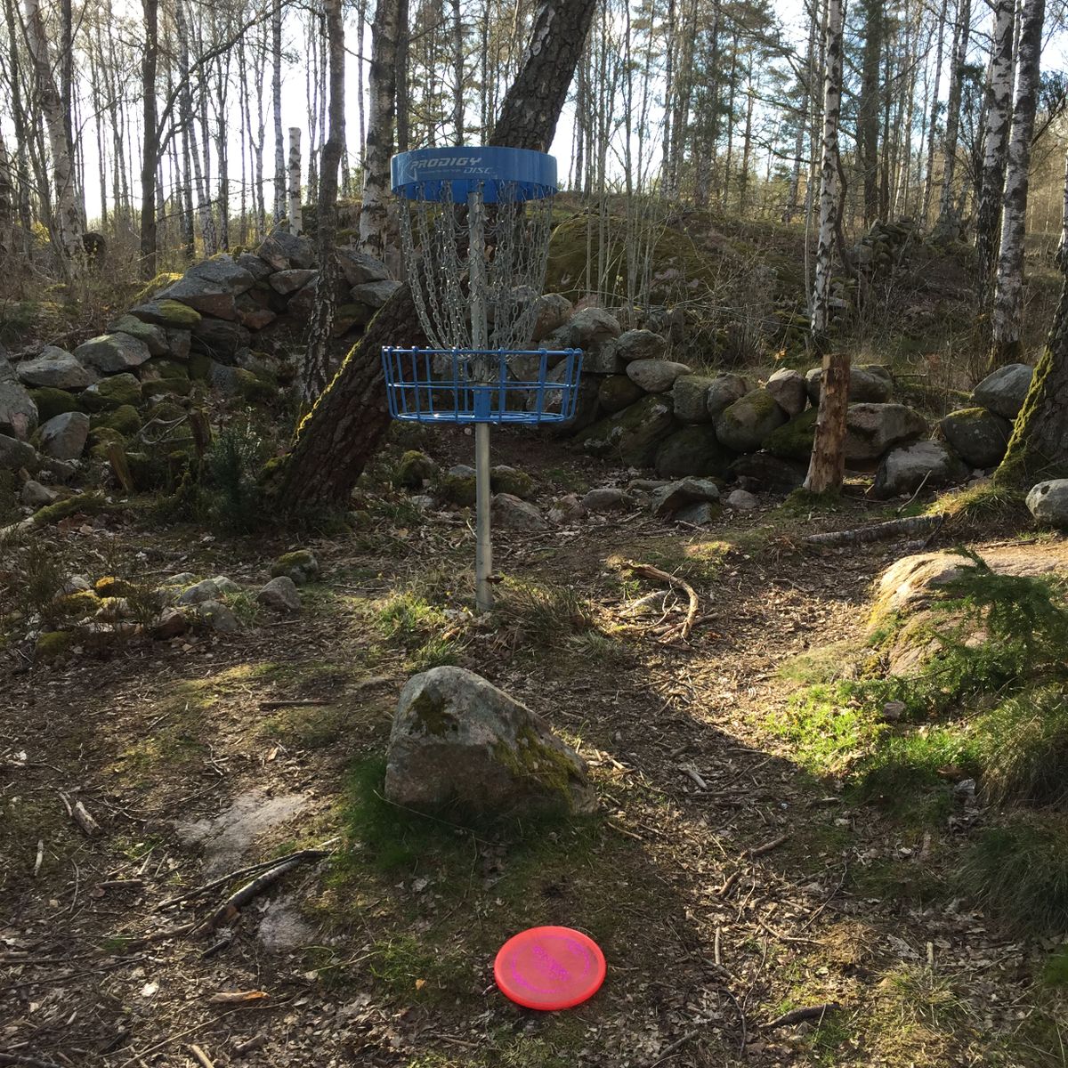 Hål 7 green