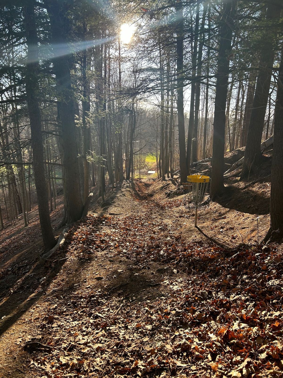 Hole 3 from behind the basket