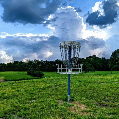 St Louis Disc Golf Your Guide to Disc Golf in St Louis Missouri