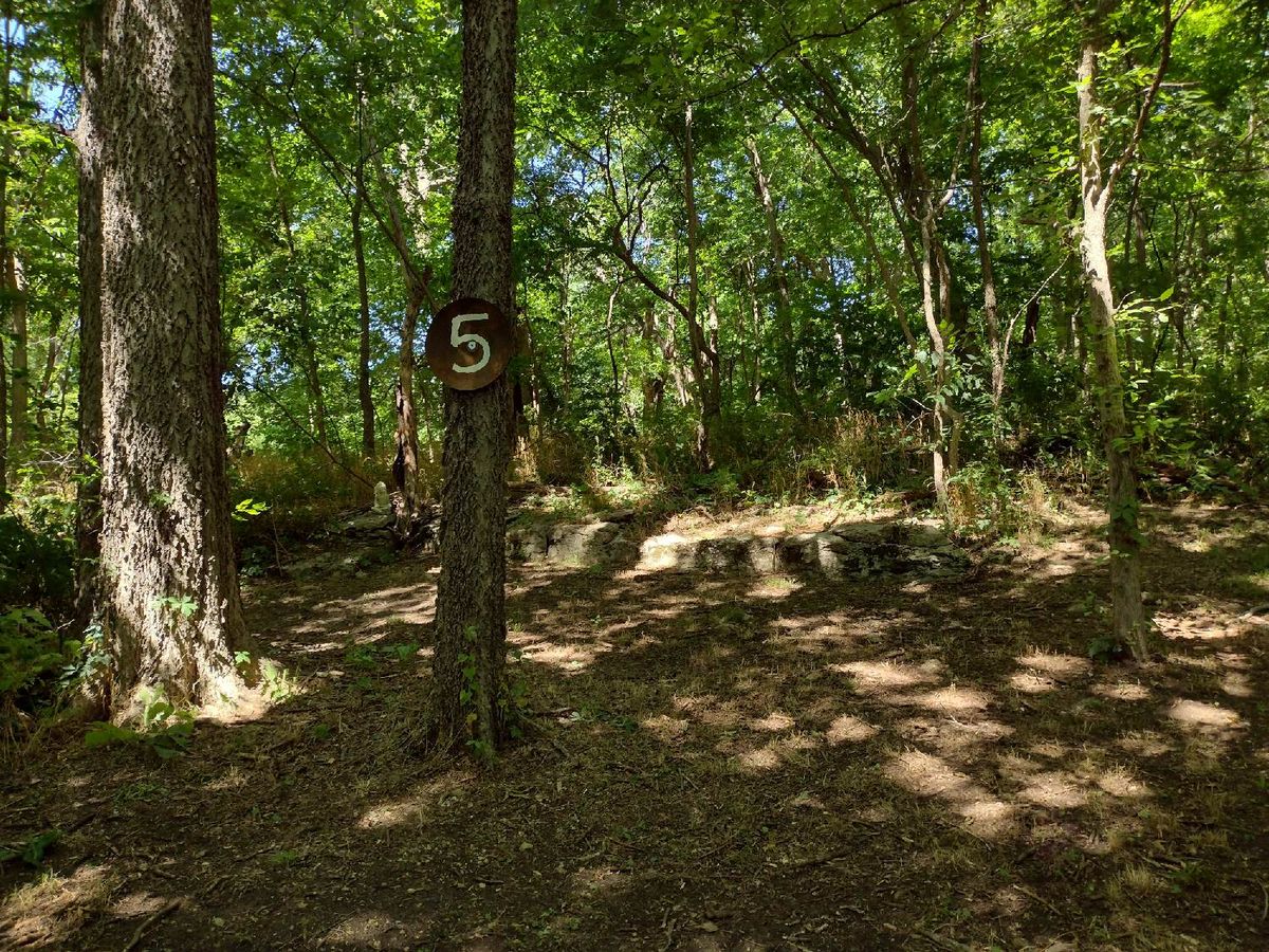 Hole #5 teepad