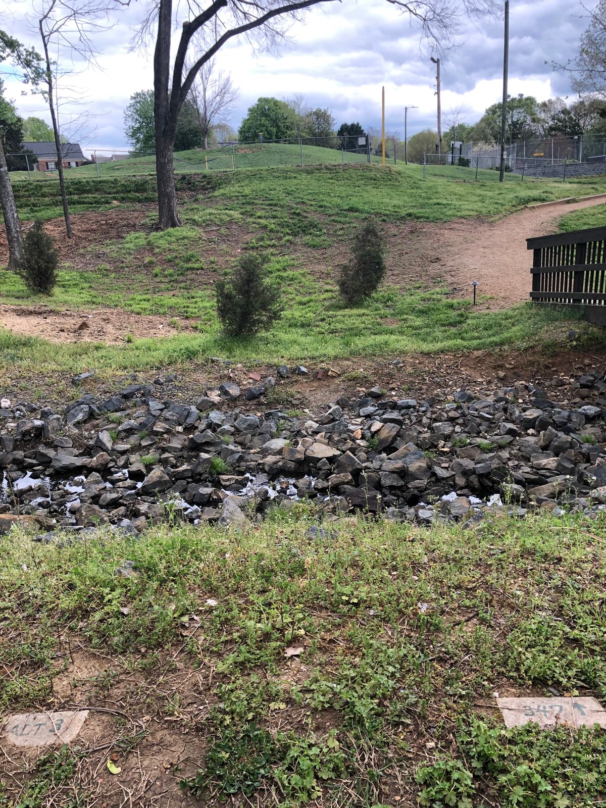 Hole 13 tee with basket at top of hillside