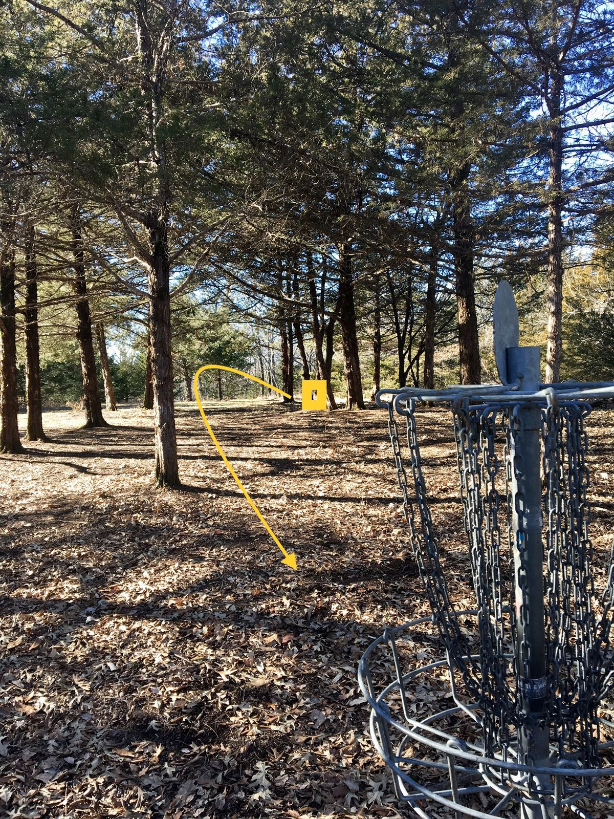 Hole 5 Basket to Tee