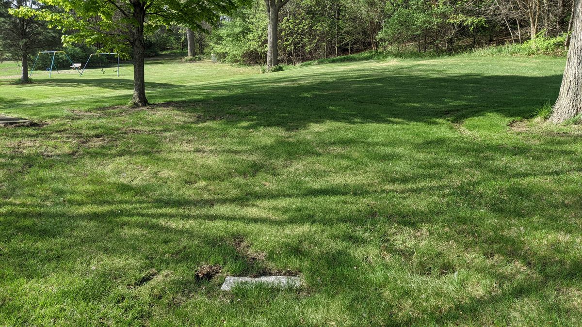 Tee #6